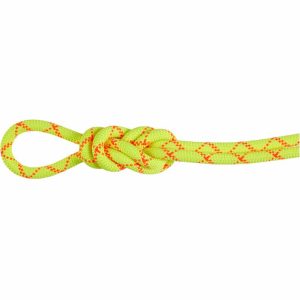 9.5 Alpine Core Protect Dry 60m Kletterseil